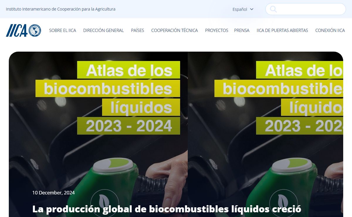 IICA 2024 – Instituto Interamericano de Cooperación para la Agricultura