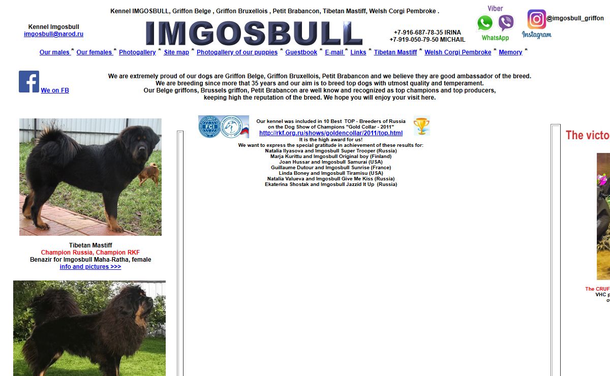 Kennel IMGOSBULL, Griffon Bruxellois, Griffon Belge, Petit Brabancon, Tibetan Mastiff, Do Khyi, Welsh Corgi Pembroke, puppies for sale.