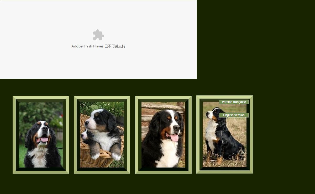 Welcome To Imier Kennel