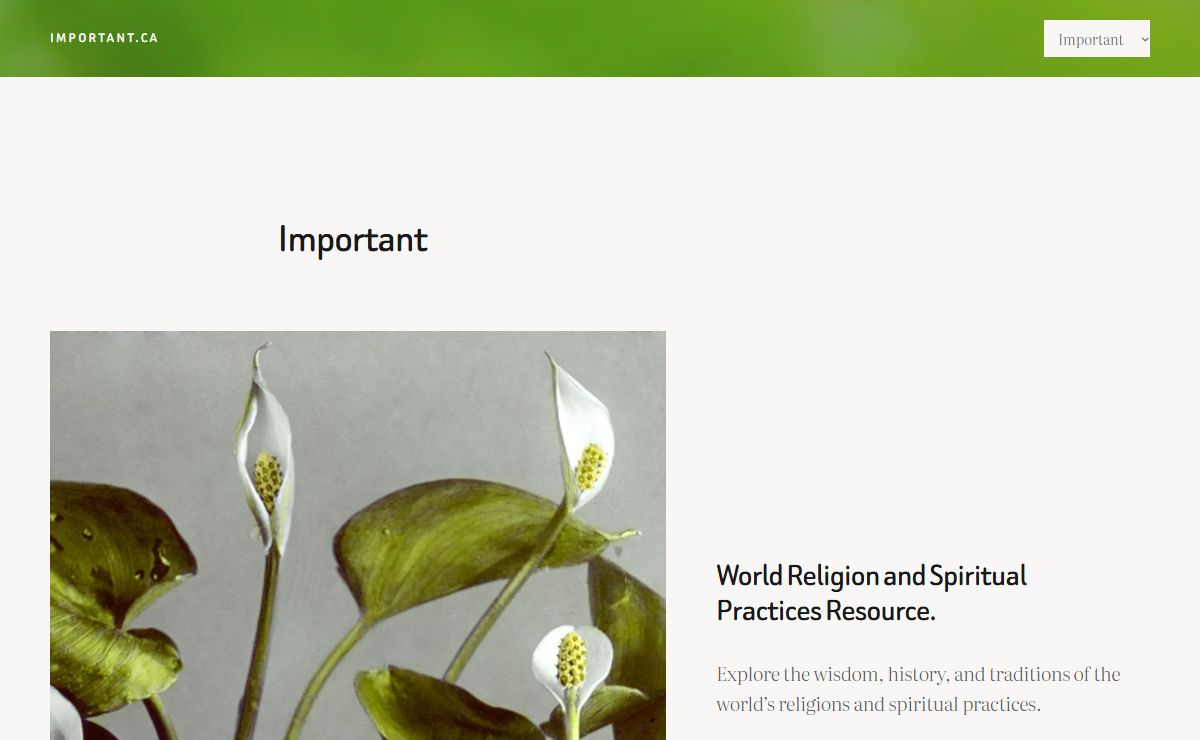 Important.ca – A resource site for spiritual practice and world religions.