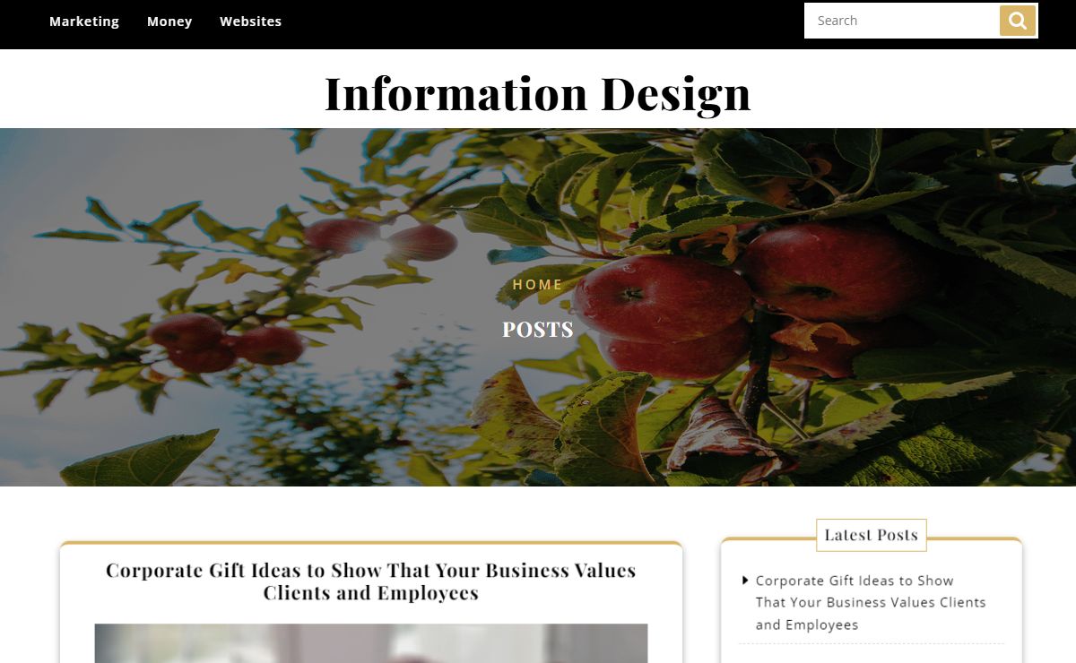 Information Design – Web Design, Marketing, Business Promotion
