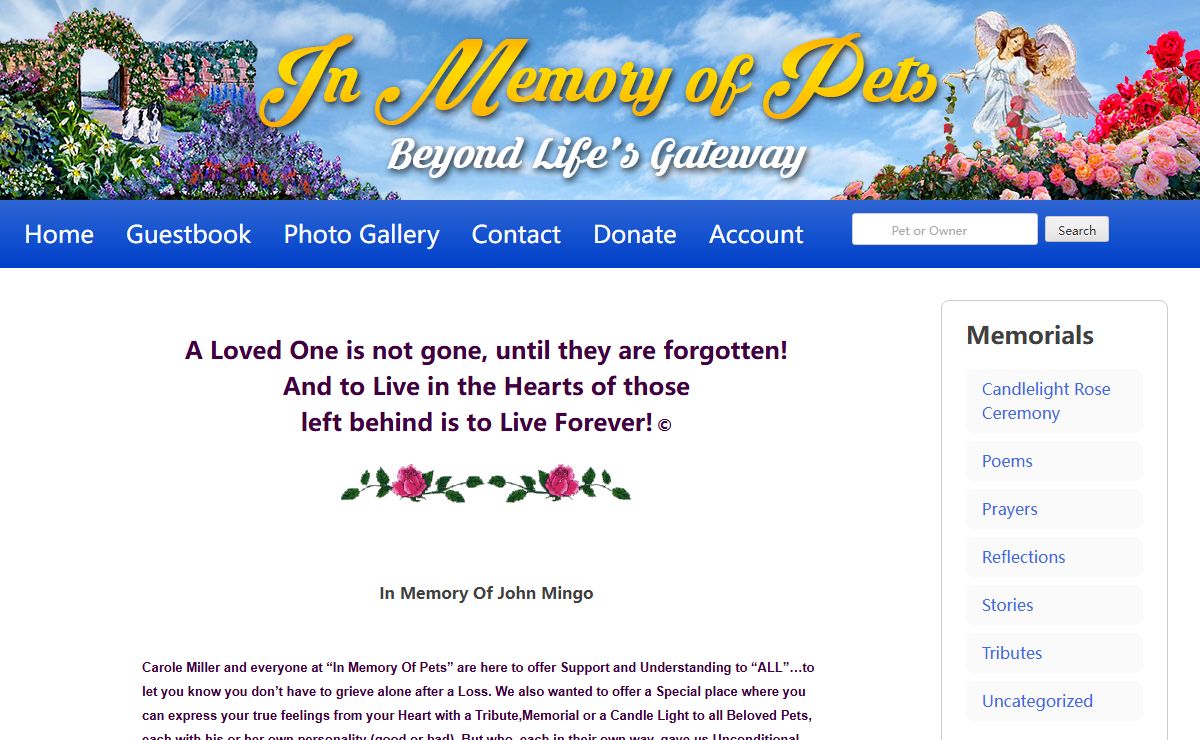 In Memory of Pets – Beyond Life's Gateway