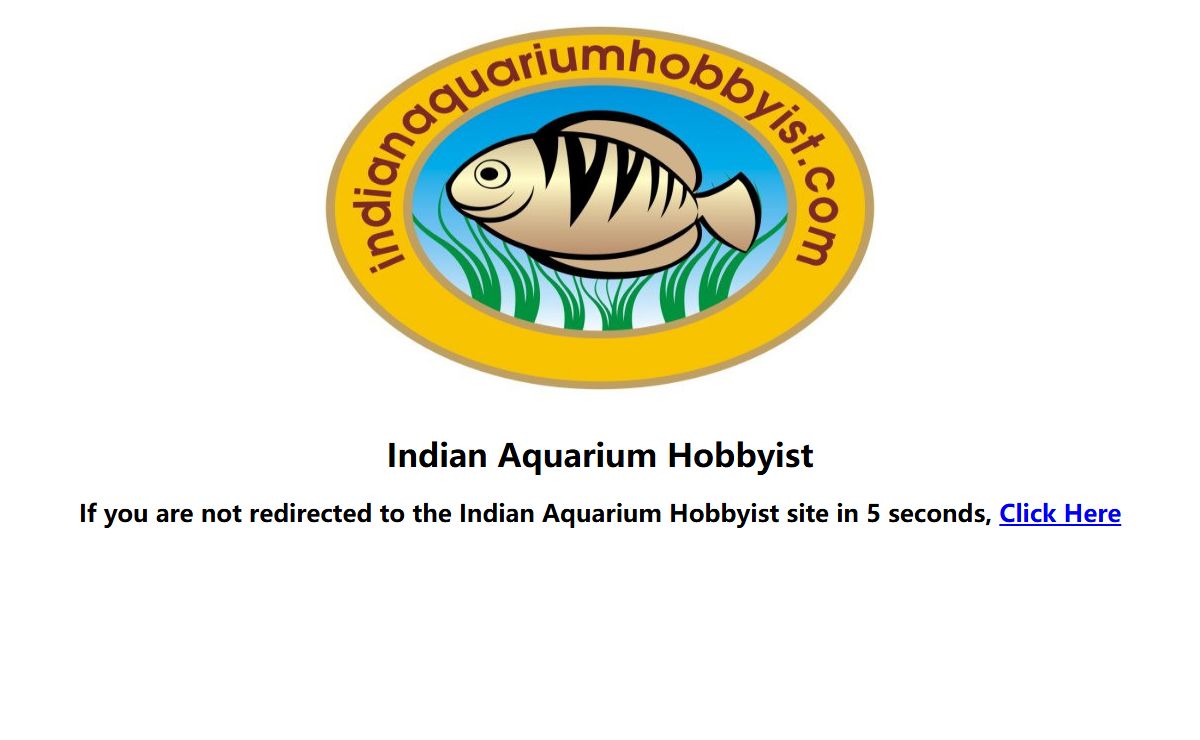 Indian Aquarium Hobbyist