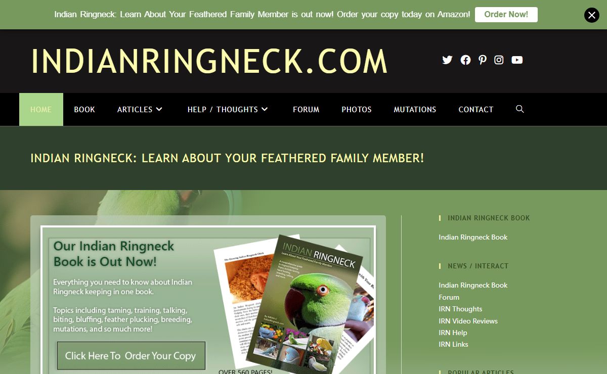 Indian Ringneck: Learn About Your Feathered Family Member! - INDIANRINGNECK.COM