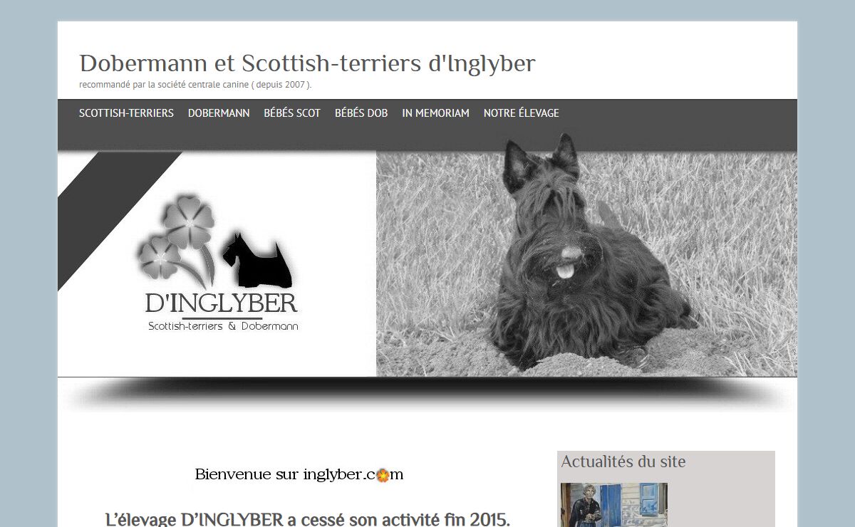 Dobermann et Scottish-terriers d'Inglyber – recommandé par la société centrale canine ( depuis 2007 ).