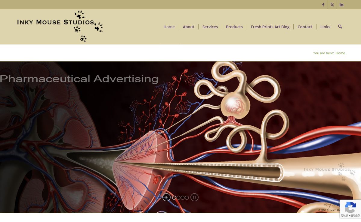 Veterinary, medical & scientific illustrations: custom & stock