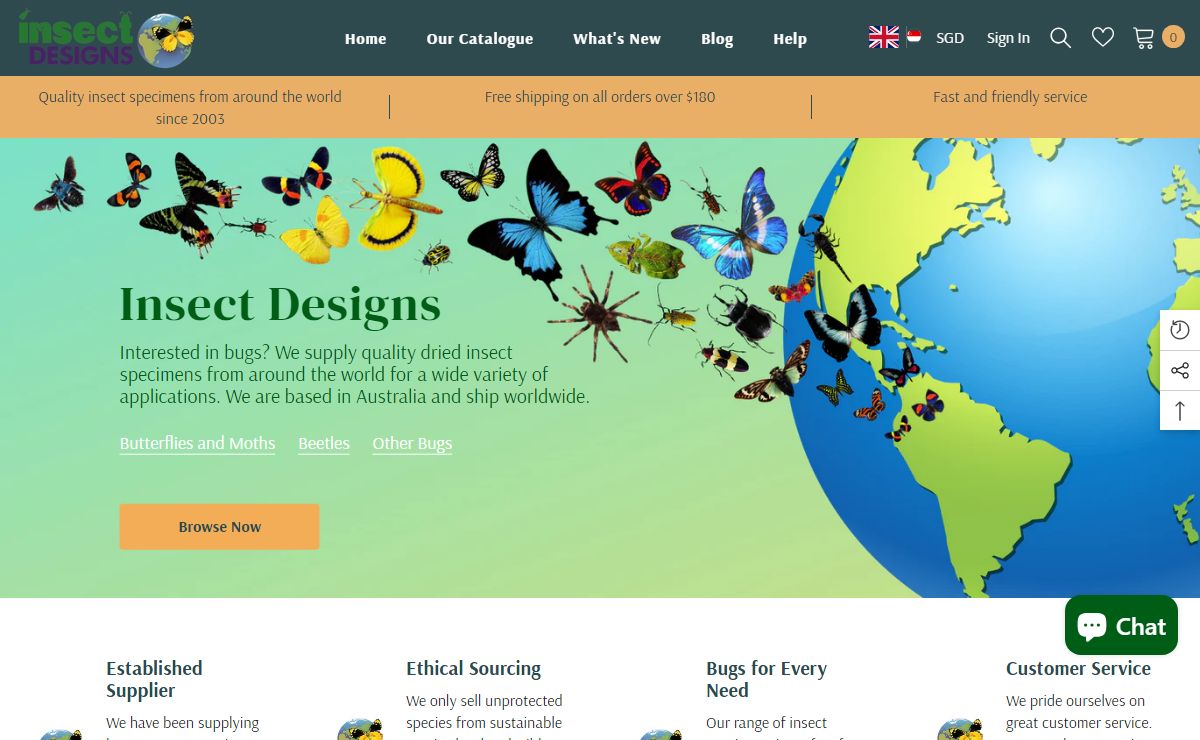 Insect Designs