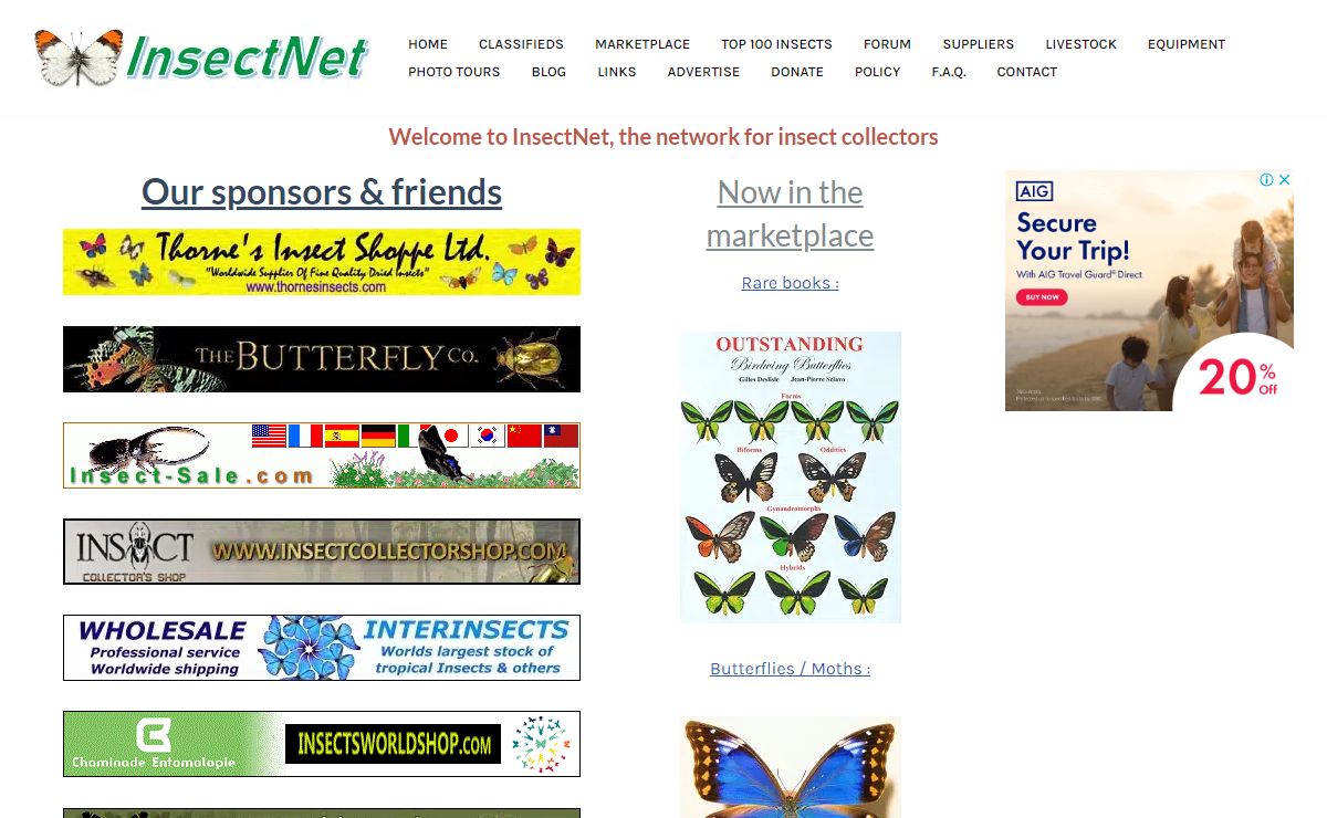 InsectNet : the network for insect collectors.