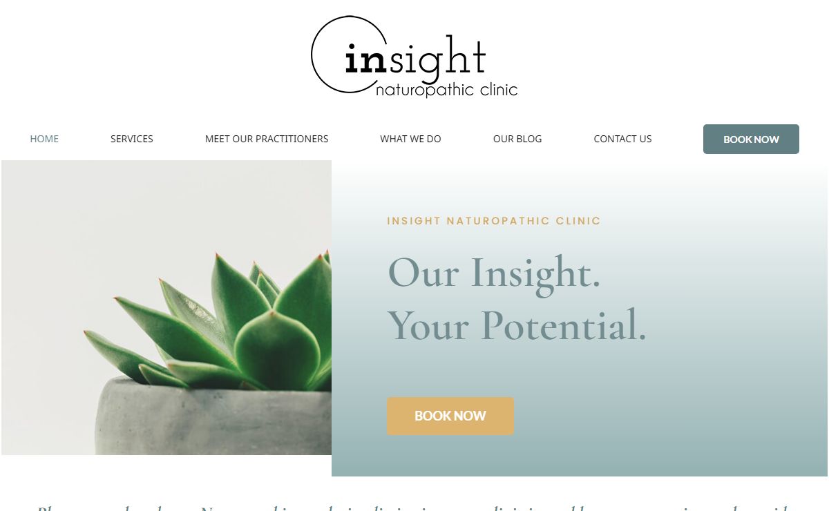 Naturopathic Medicine Treatments Doctor in Toronto | Insight Naturopathic Clinic