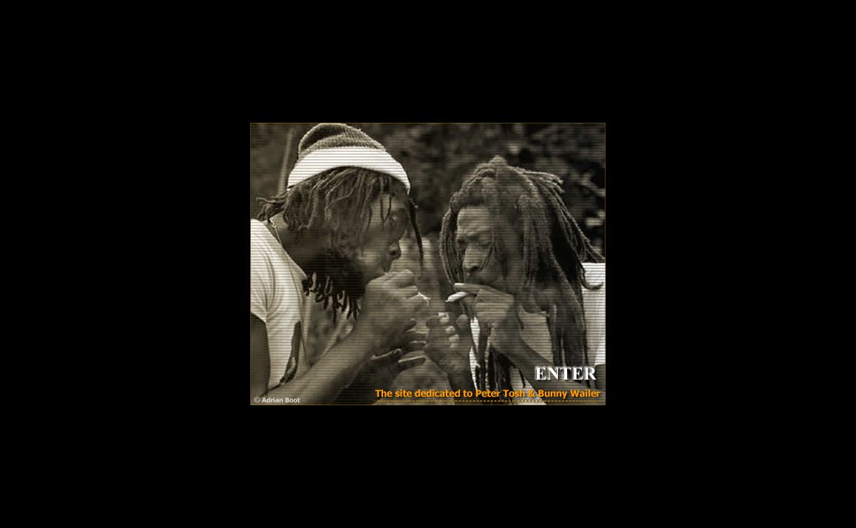 Welcome to Intelligent Diplomat - The site dedicated to Peter tosh and Bunny Wailer