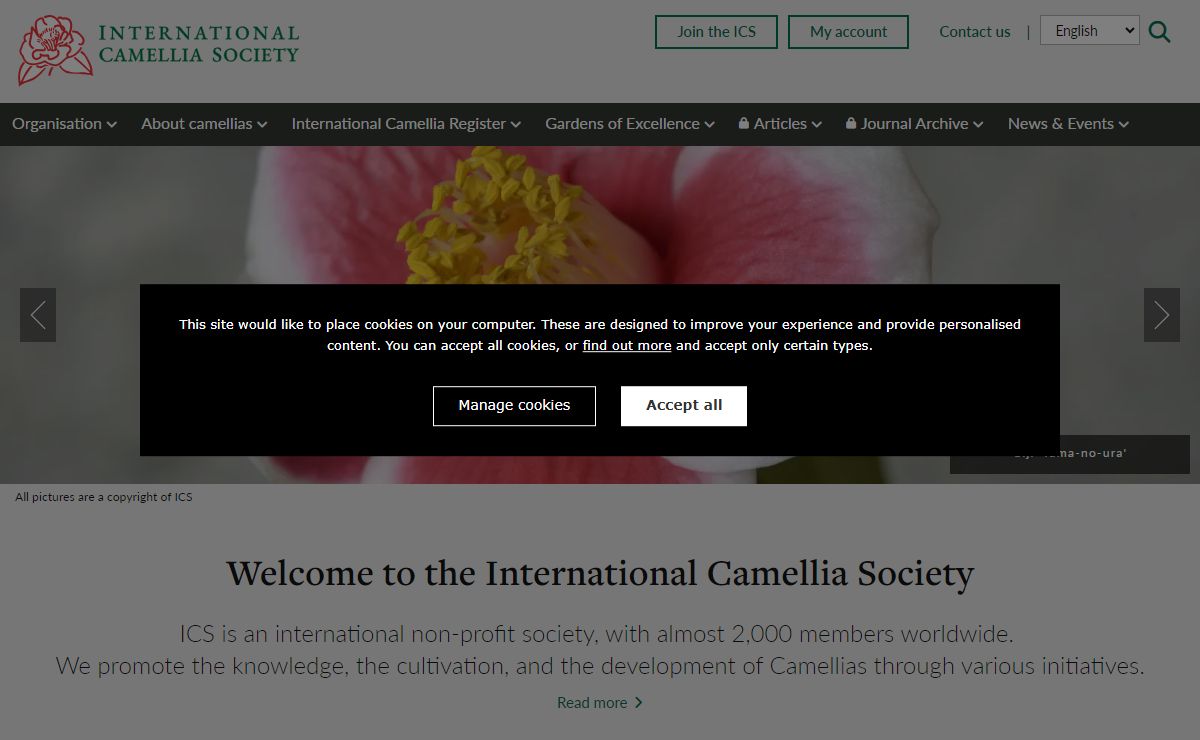 International Camellia Society