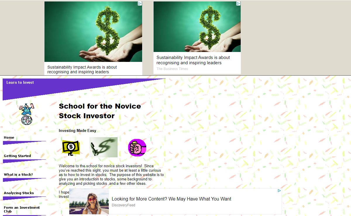 School for the Novice Stock Investor