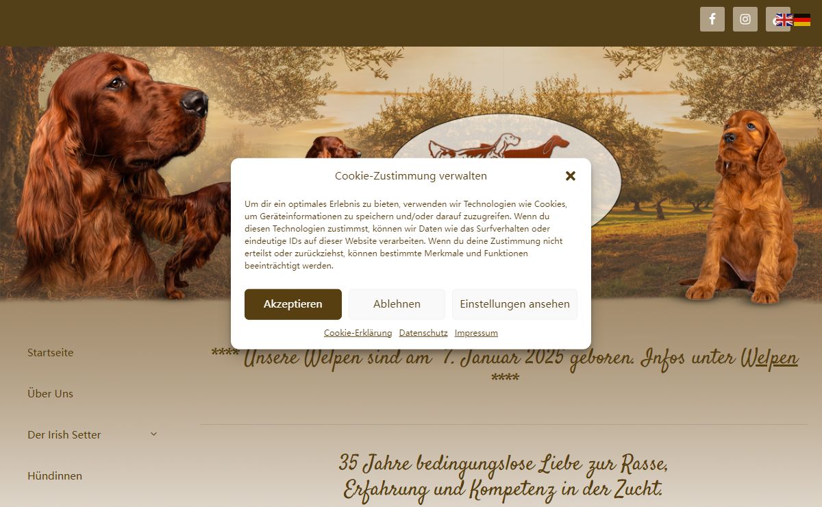 Irish Red Setter Zucht of the Red Flash – Ellen ten Brink