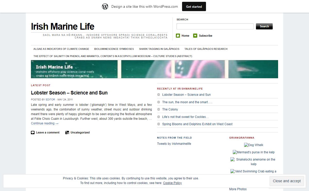 Irish Marine Life | Saol mara na hÉireann… inshore offshore spraoi science coral-reefs crabs ag snámh news imeachtaí think bitheolaíochta