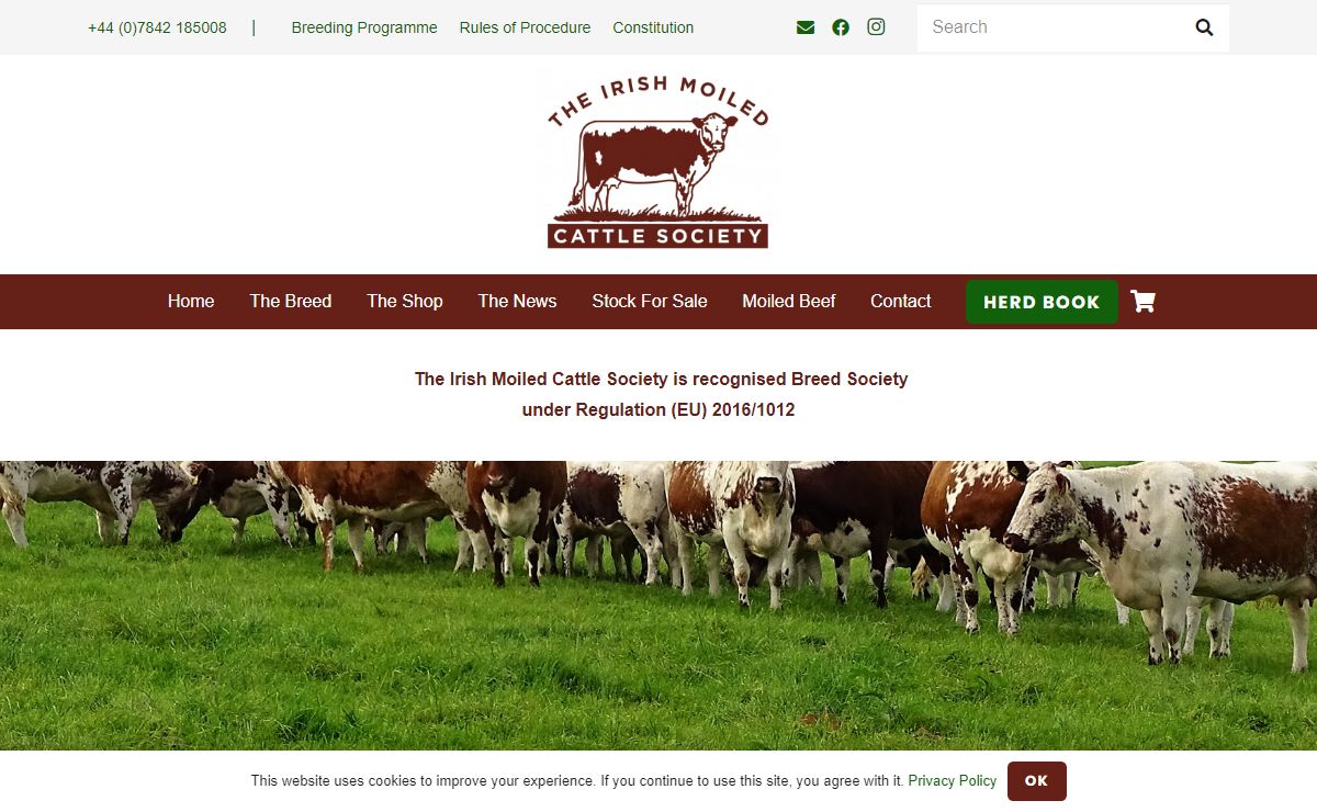 Home - Irish Moiled Cattle Society