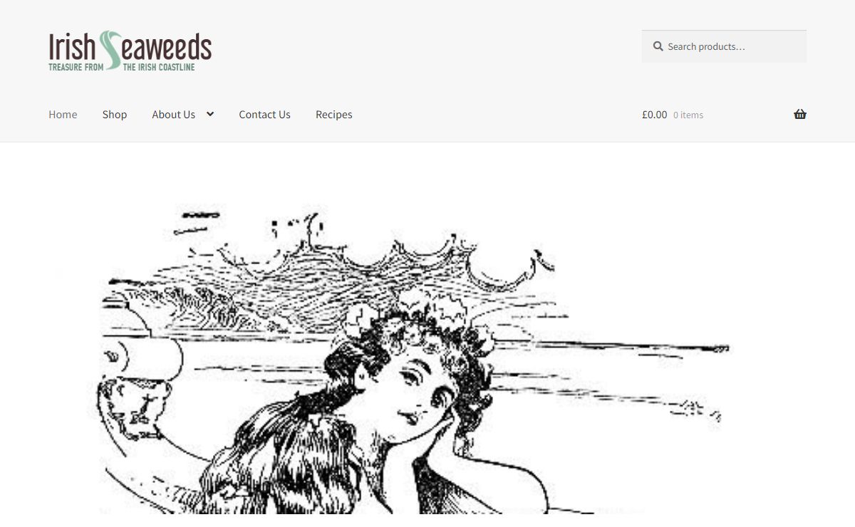Irish Seaweeds – Premium Irish Seaweeds
