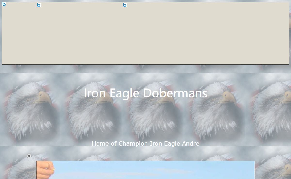 Iron Eagle Dobermans