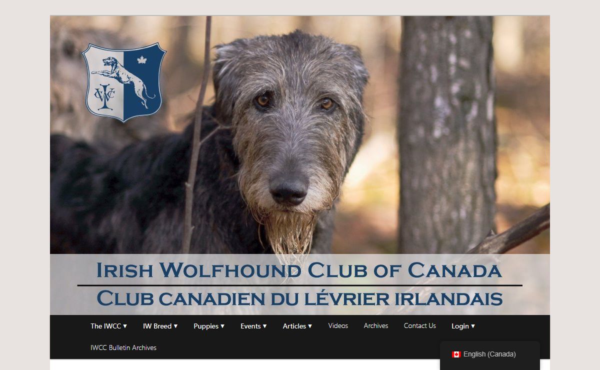 IWCC • CCLI | Home of the Irish Wolfhound club of Canada