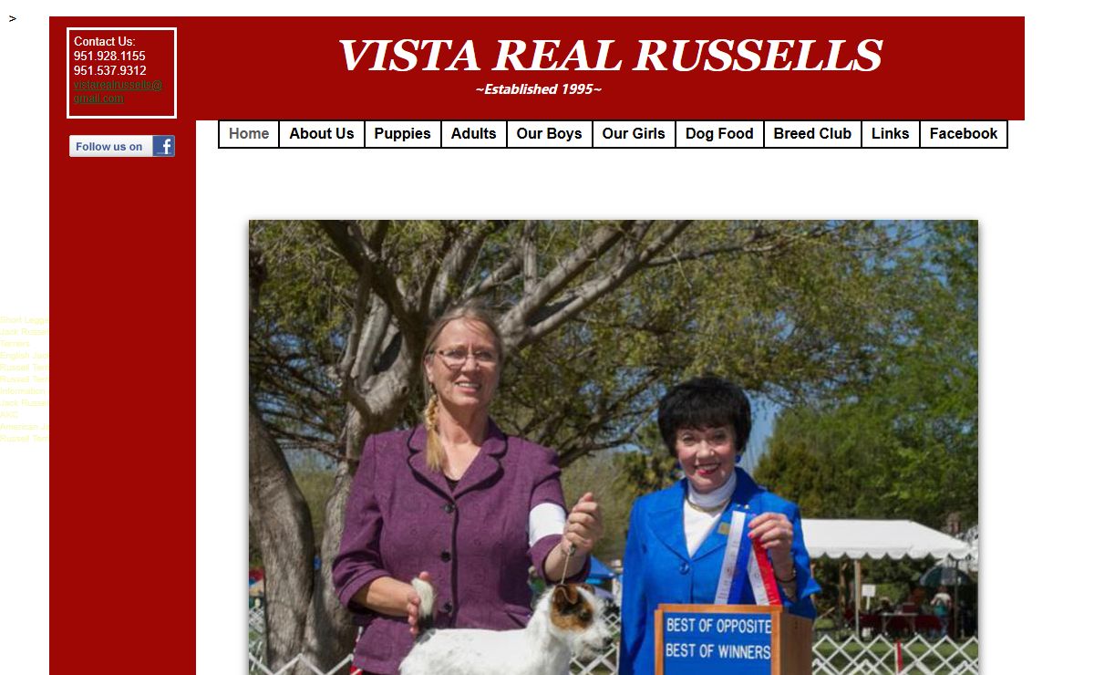 Vista Real Russells, AKC Russell Terrier Puppies
