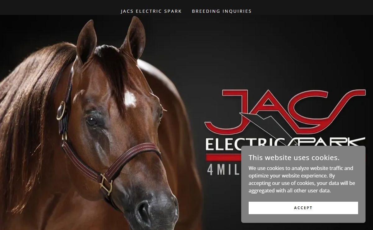 Jacs Electric Spark