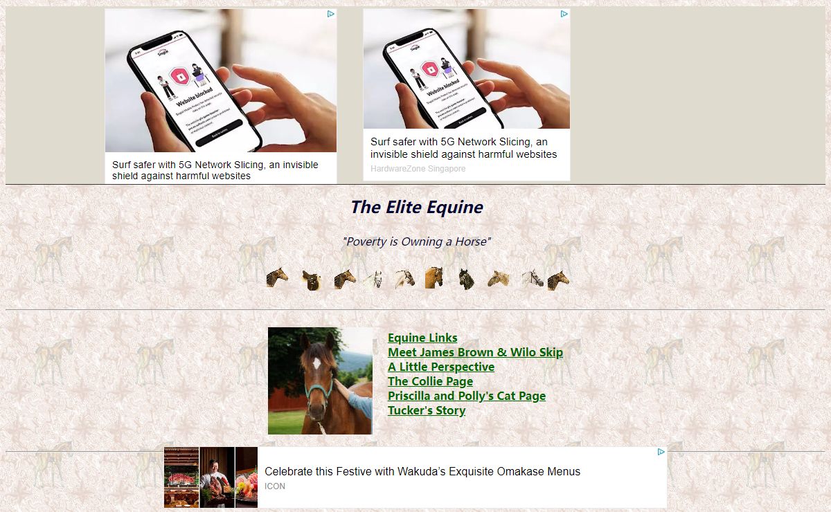 The Elite Equine