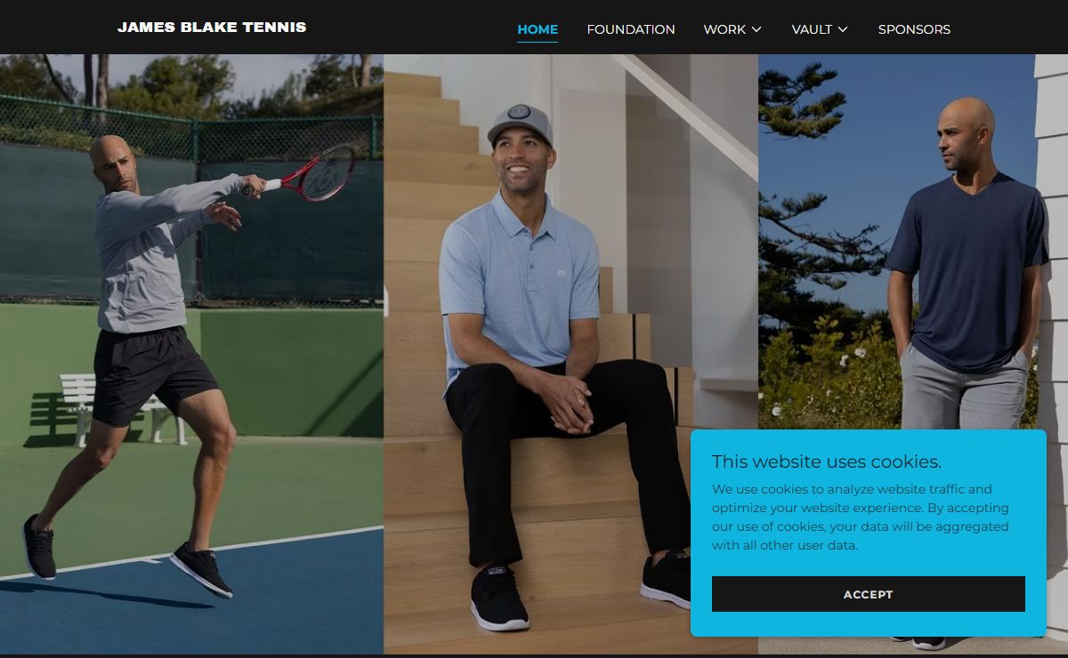 James Blake Tennis