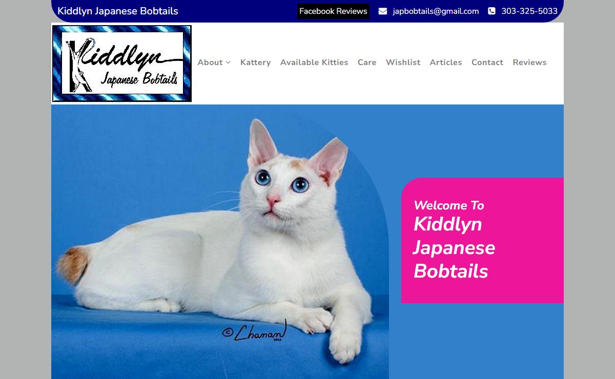 The Japanese Bobtail