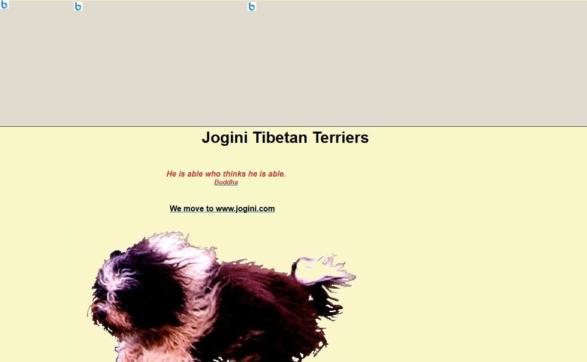Jogini Tibetan Terriers
