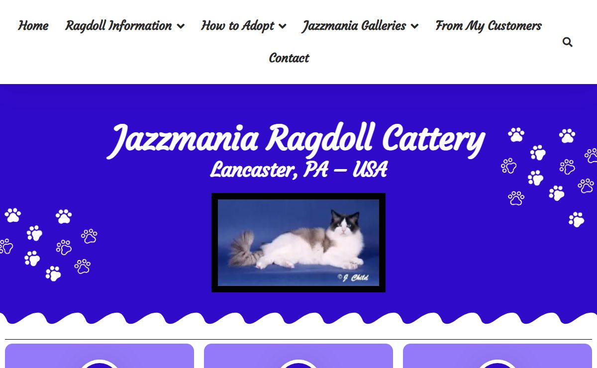 Home - Jazzmania Ragdolls
