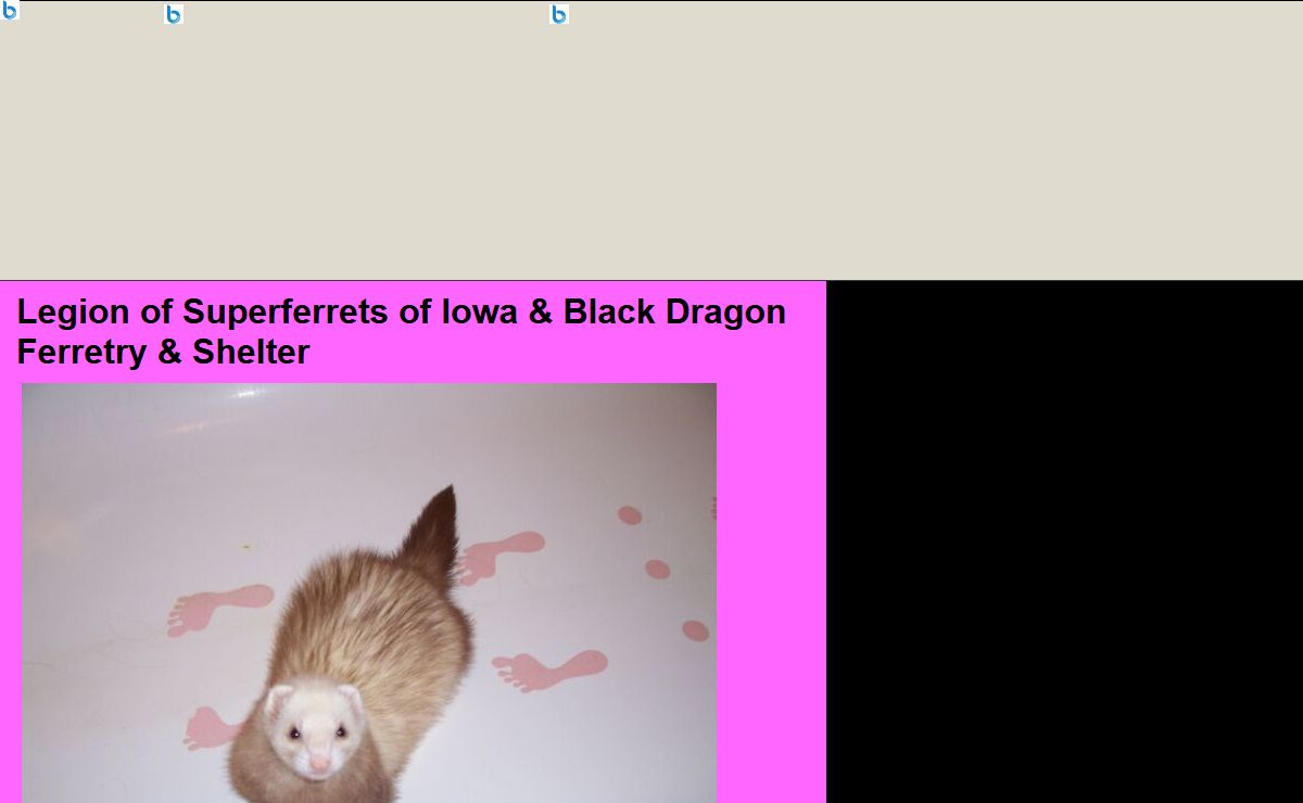 Legion of Superferrets of Iowa & Black Dragon Ferretry & Shelter