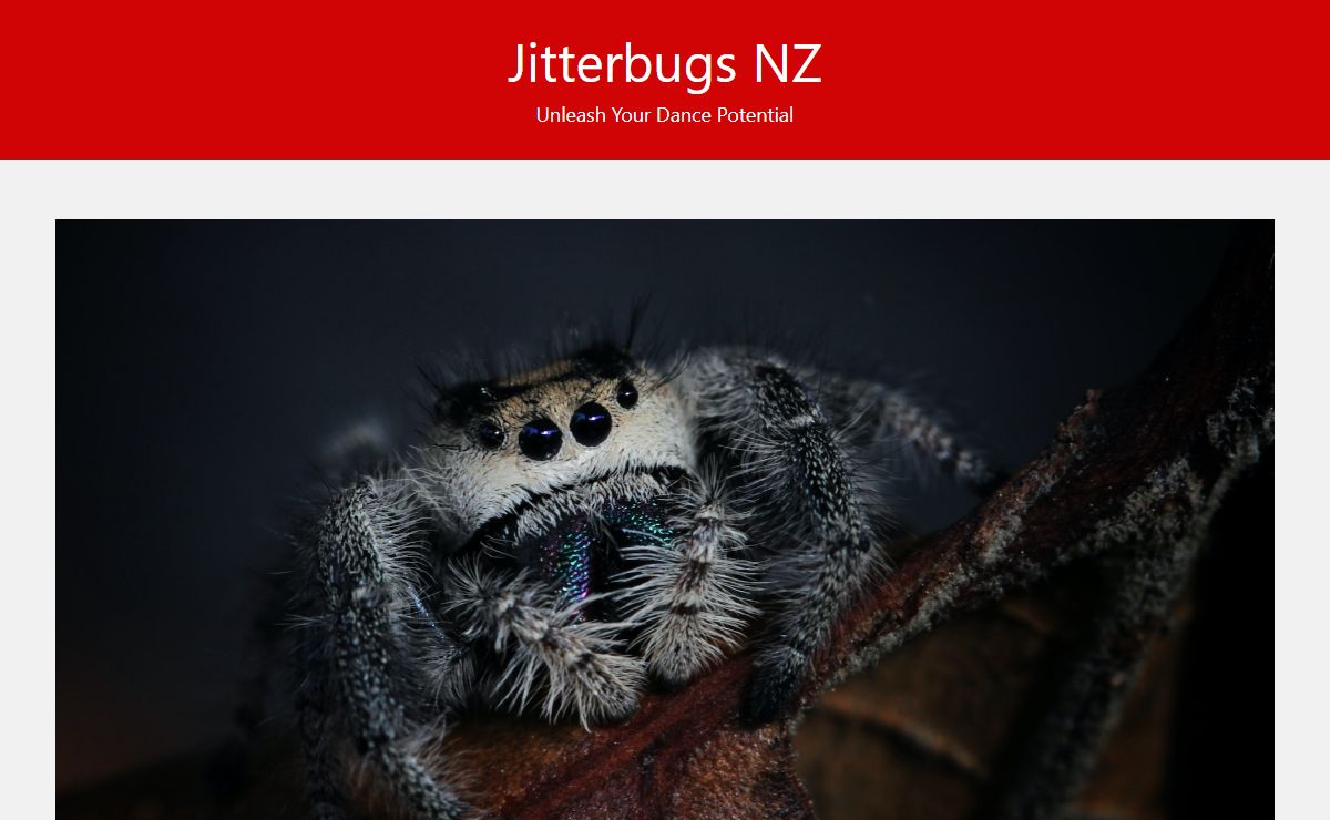 Jitterbugs NZ