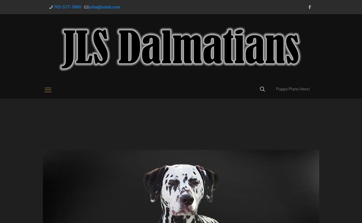 JLS Dalmatians – Quality Dalmatians for show dogs, therapy dogs, and loving companions…