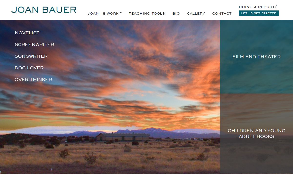 Home Page - Joan Bauer
