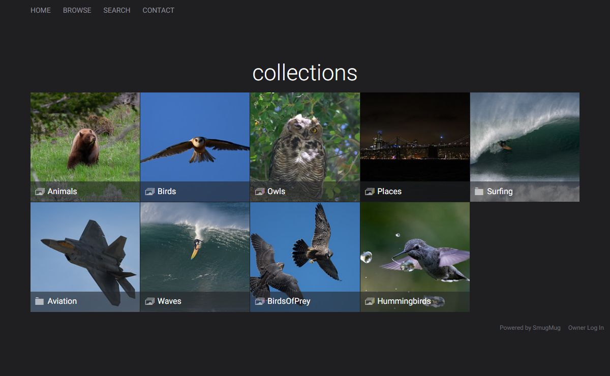 Wildlife and Surfing Photography