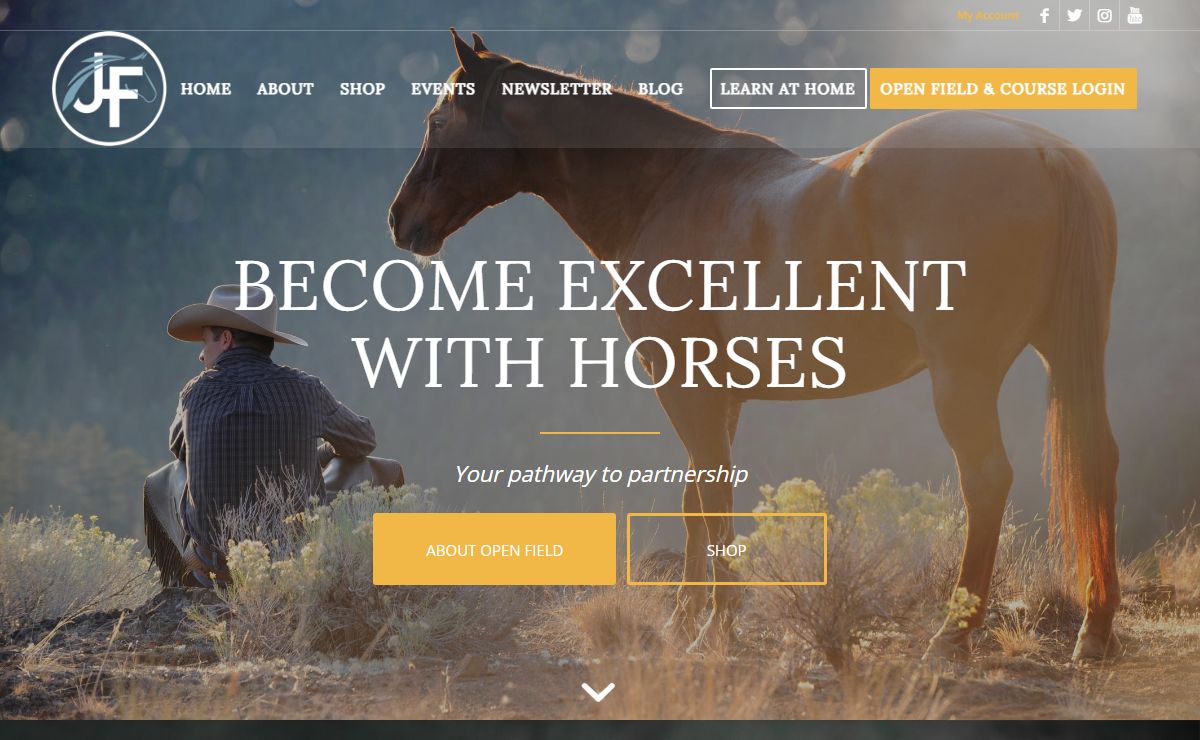 Jonathan Field Horsemanship