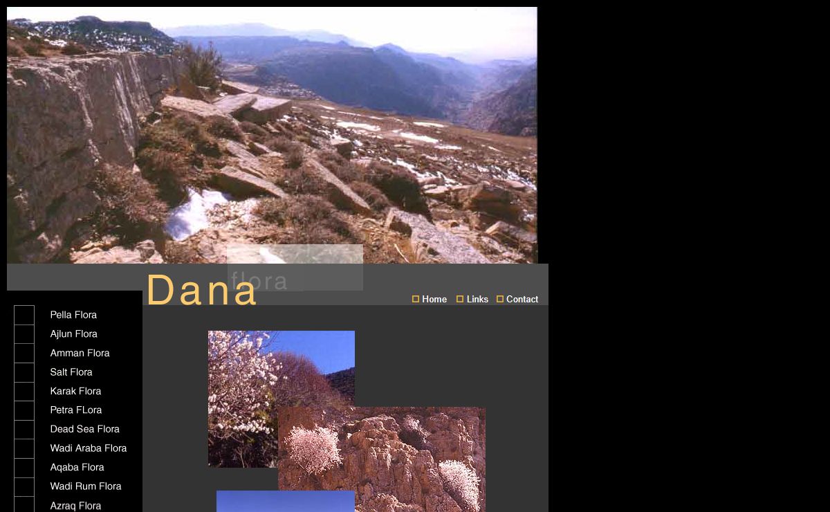 Flora of Jordan