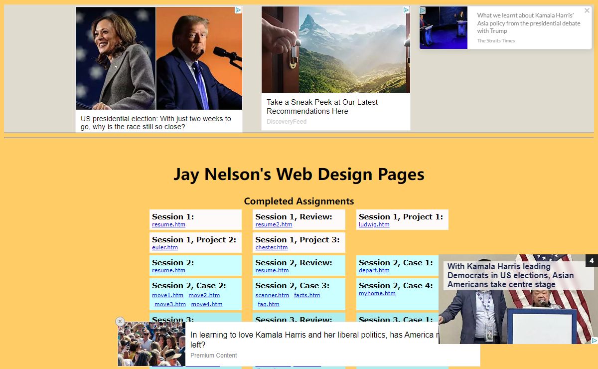 Web Design--Jay Nelson