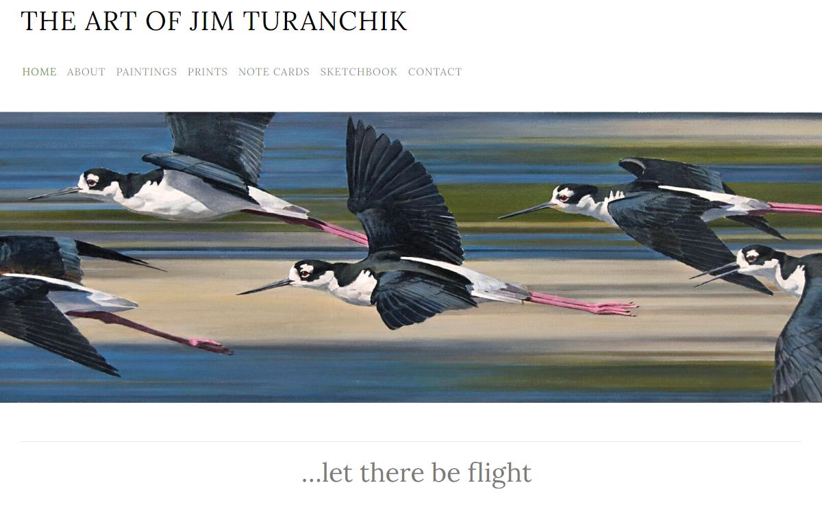 The Art of Jim Turanchik