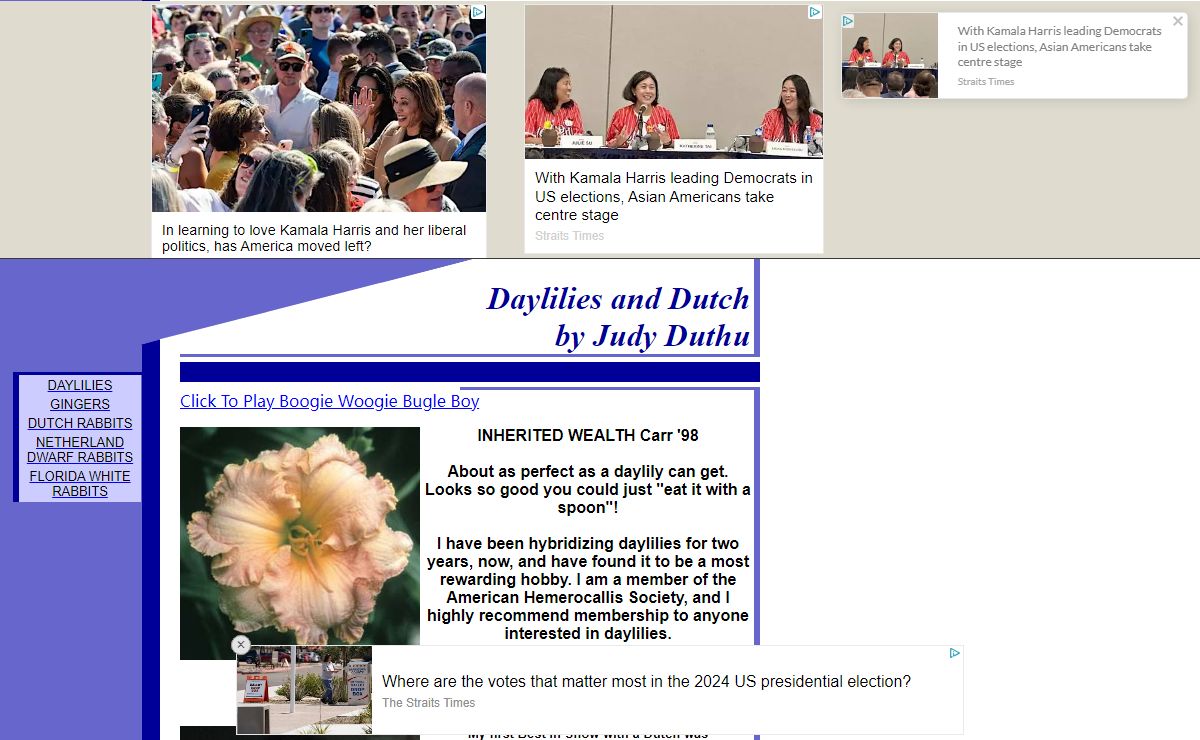 Daylilies and Dutch by Judy Duthu