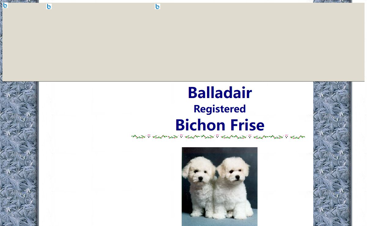 Balladair Reg. Bichon Frise