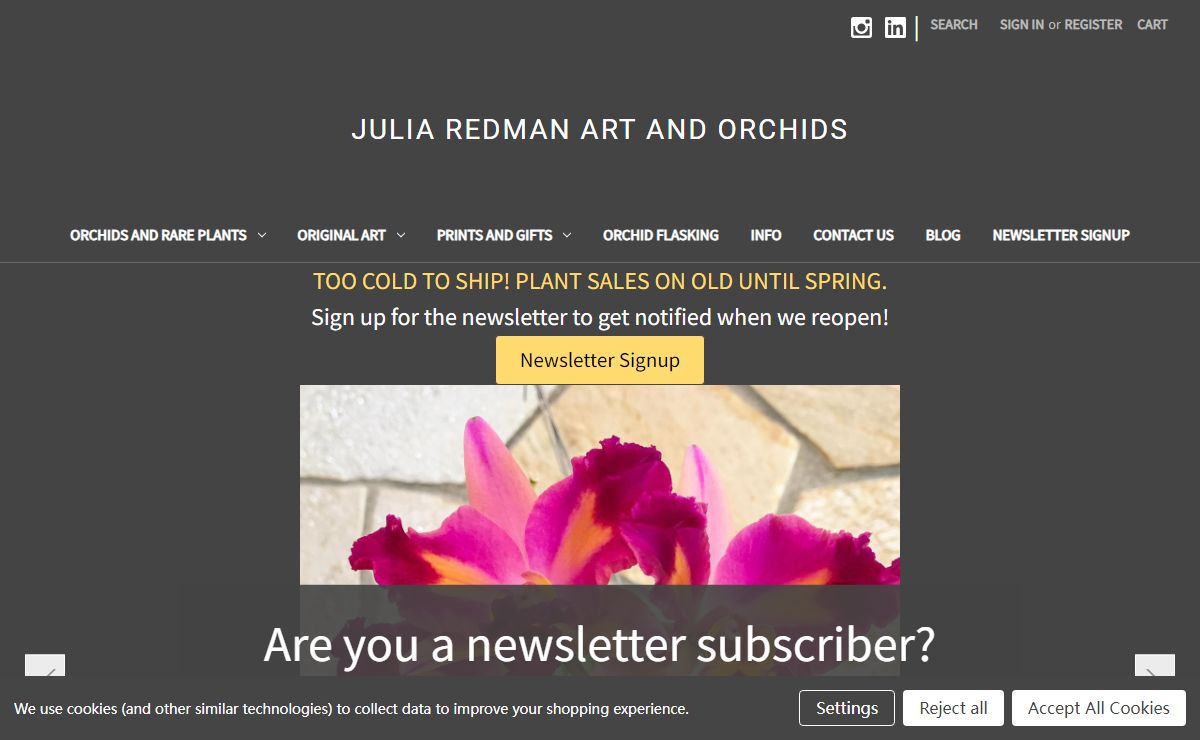 Julia Redman Art and Orchids