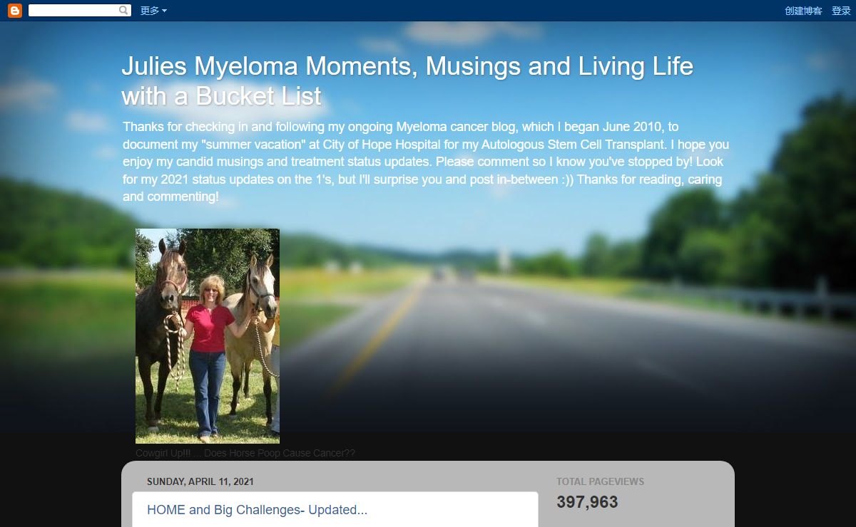 Julies Myeloma Moments, Musings and Living Life with a Bucket List