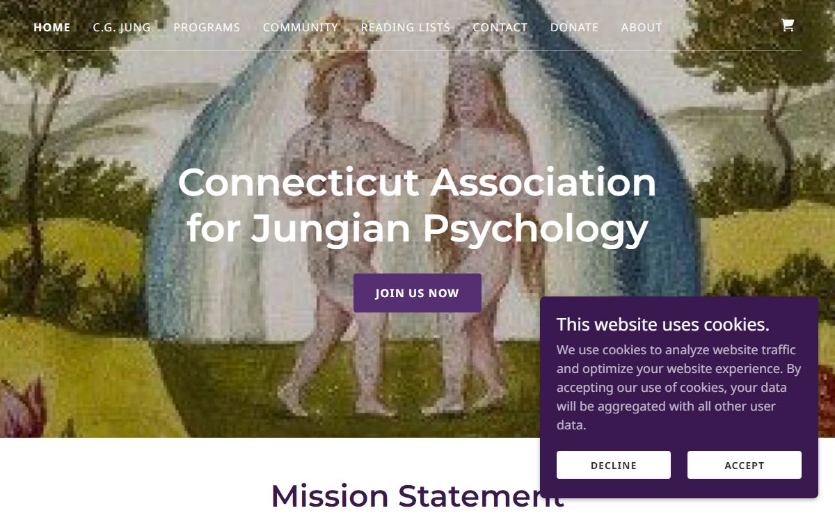 jungct.org