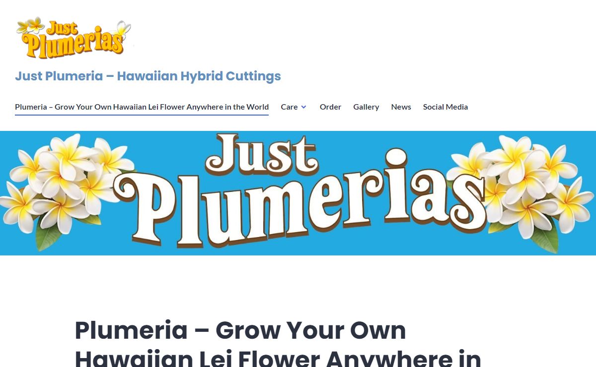 Plumeria – Grow Your Own Hawaiian Lei Flower Anywhere in the World – Just Plumeria - Hawaiian Hybrid Cuttings