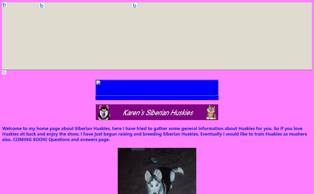 Karen's Siberian Huskies. Links And Information About Siberian Huskies!