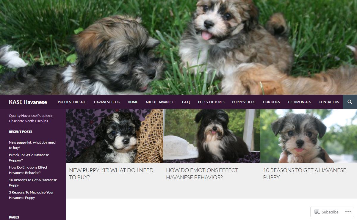 KASE Havanese | Quality Havanese Puppies in Charlotte North Carolina