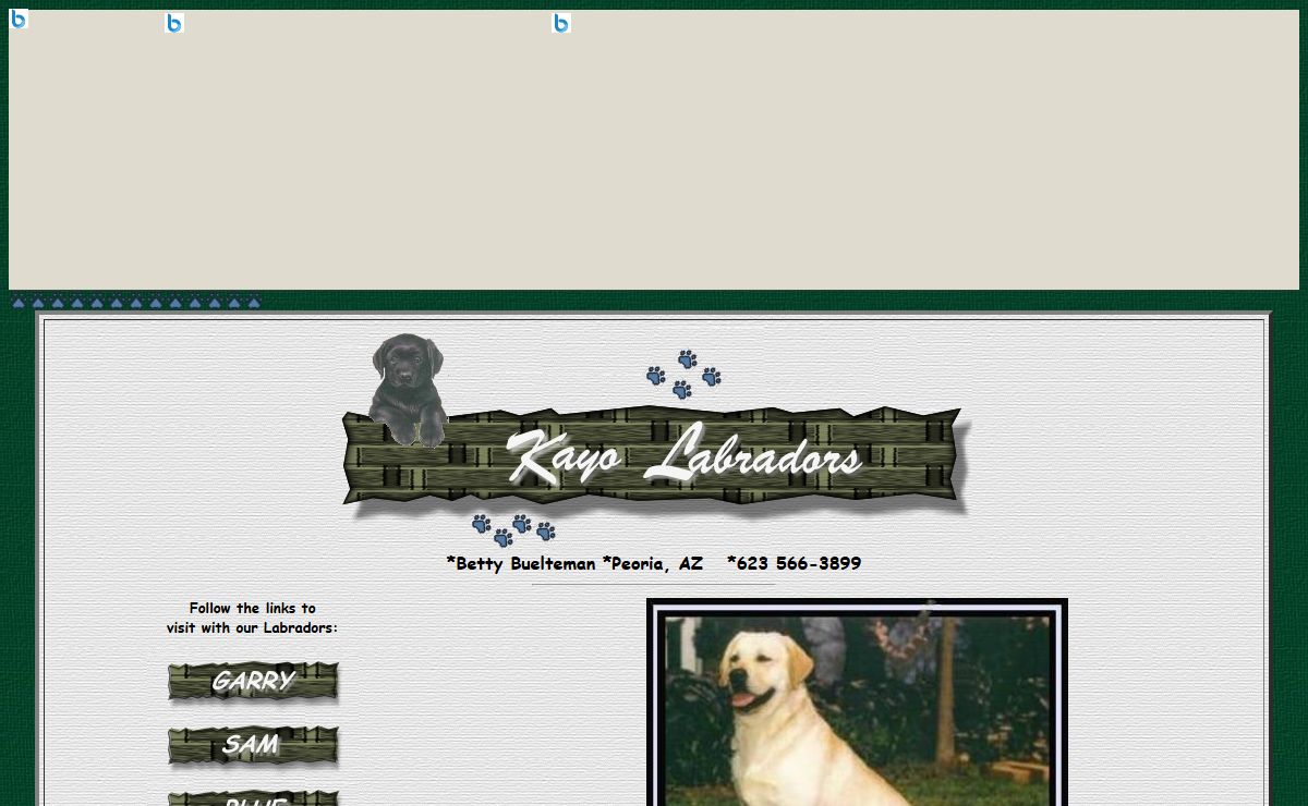 KAYO LABRADORS