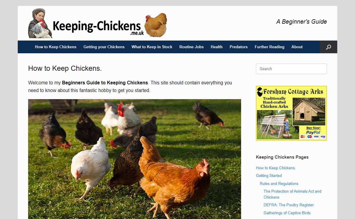 How to Keep Chickens: The Beginners Guide to Keeping Chickens
