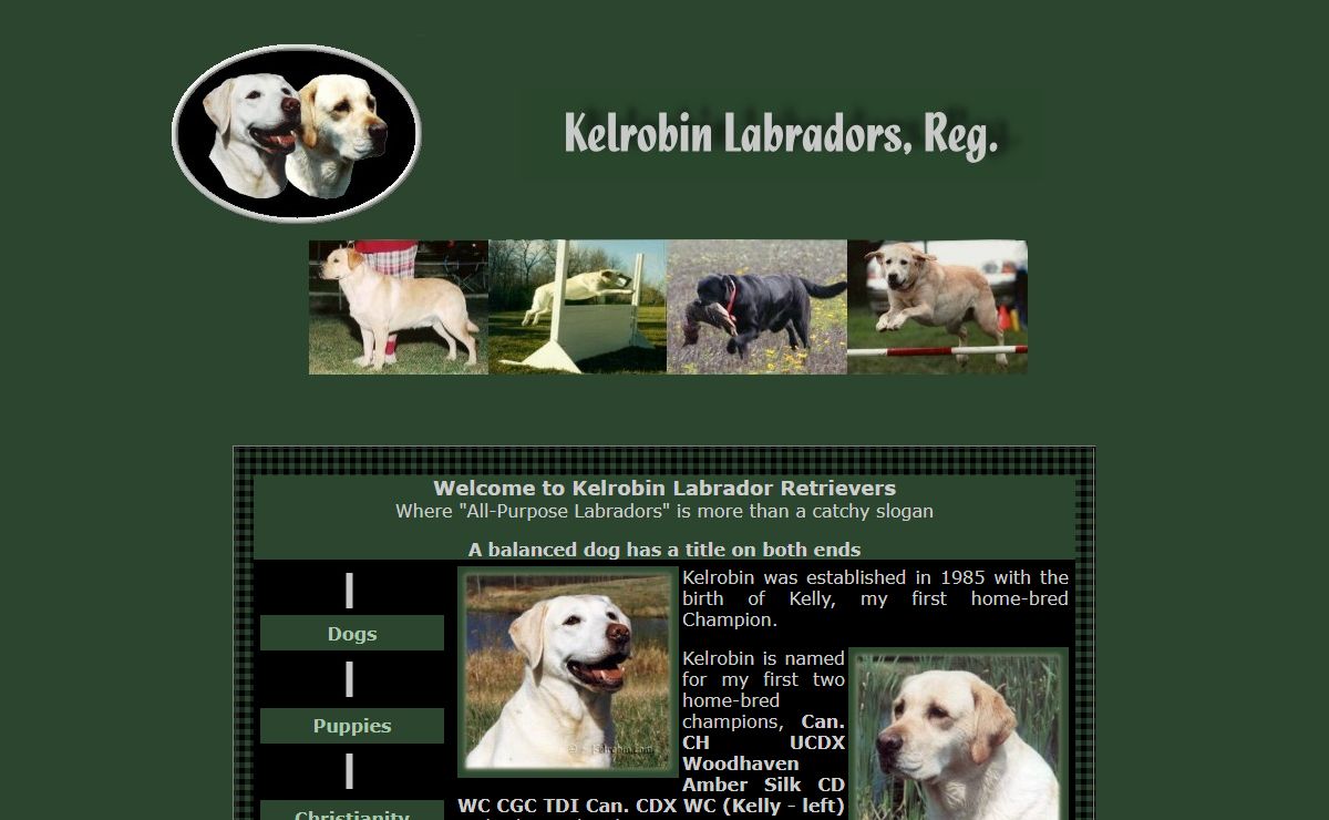 Kelrobin Labradors - Labrador Puppies - Grand Blanc, Michigan