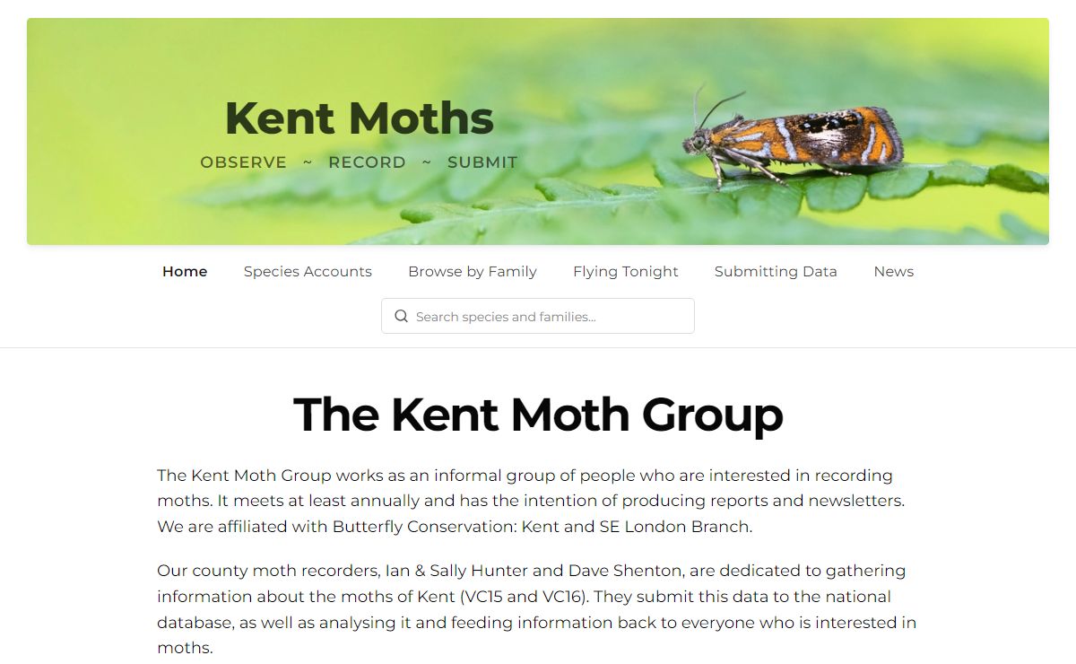 Kent Moths